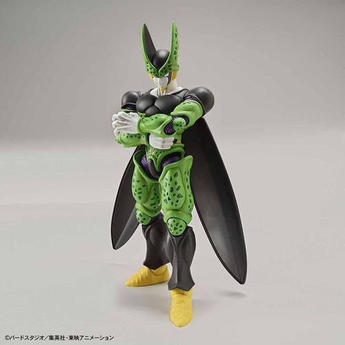 FIGURE-RISE STANDARD - PERFECT CELL MIX